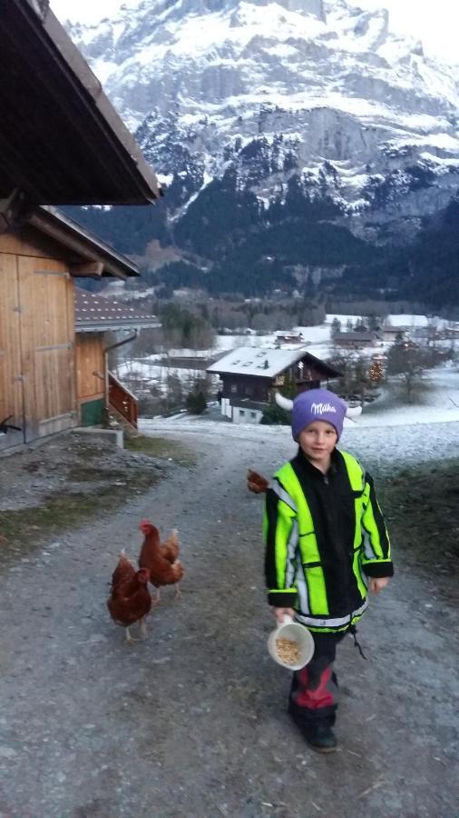 Chalet Baergblick Grindelwald Luaran gambar
